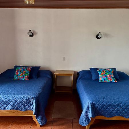 Monteverde Ecolodge Экстерьер фото